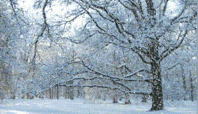 【新诗大观】雪花飘||文/张道发（图2）