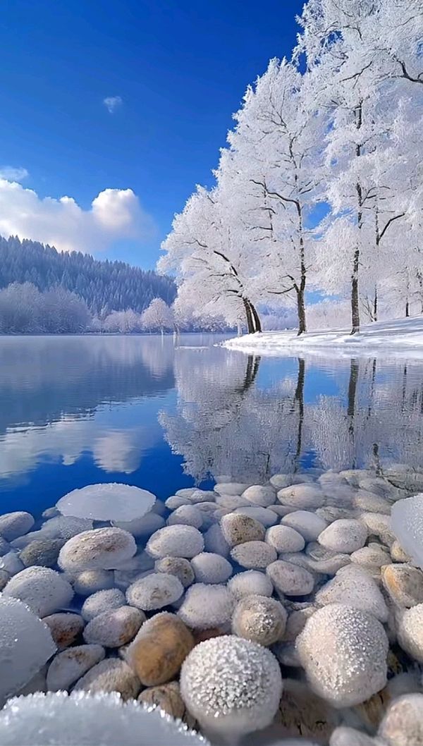 冬雪赞～诗||李永康（图16）