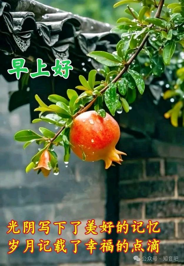 【5413】张荣岐诗作《喜雨兆丰年》（图2）