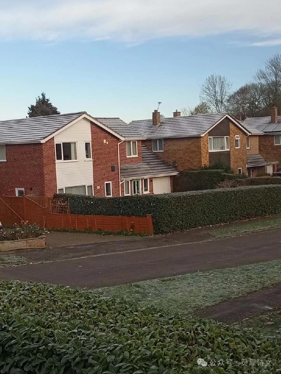 英伦初雪（图2）