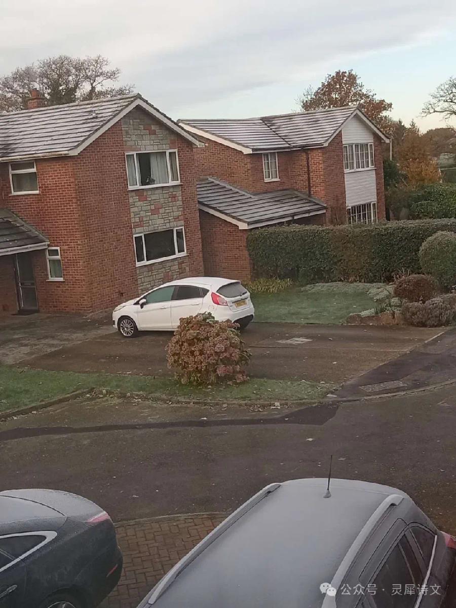 英伦初雪（图4）