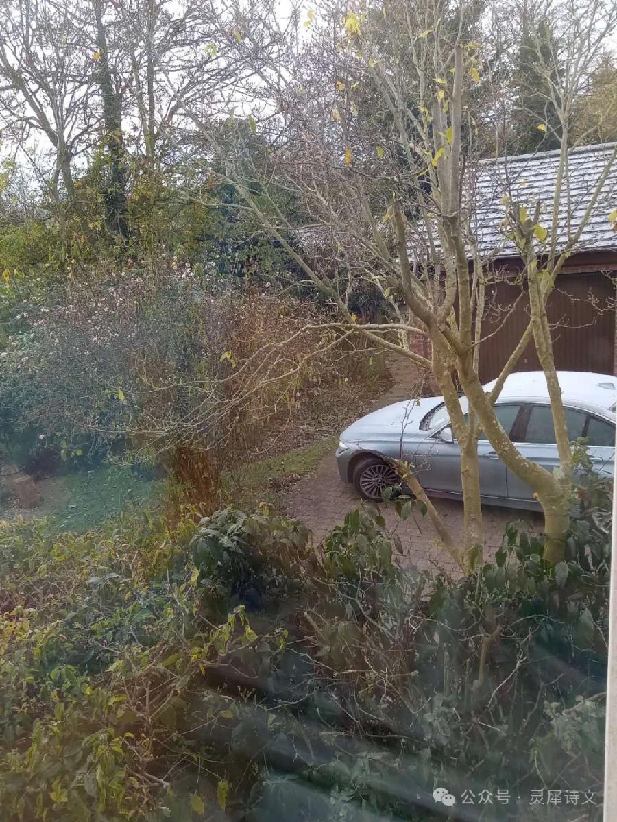 英伦初雪（图5）
