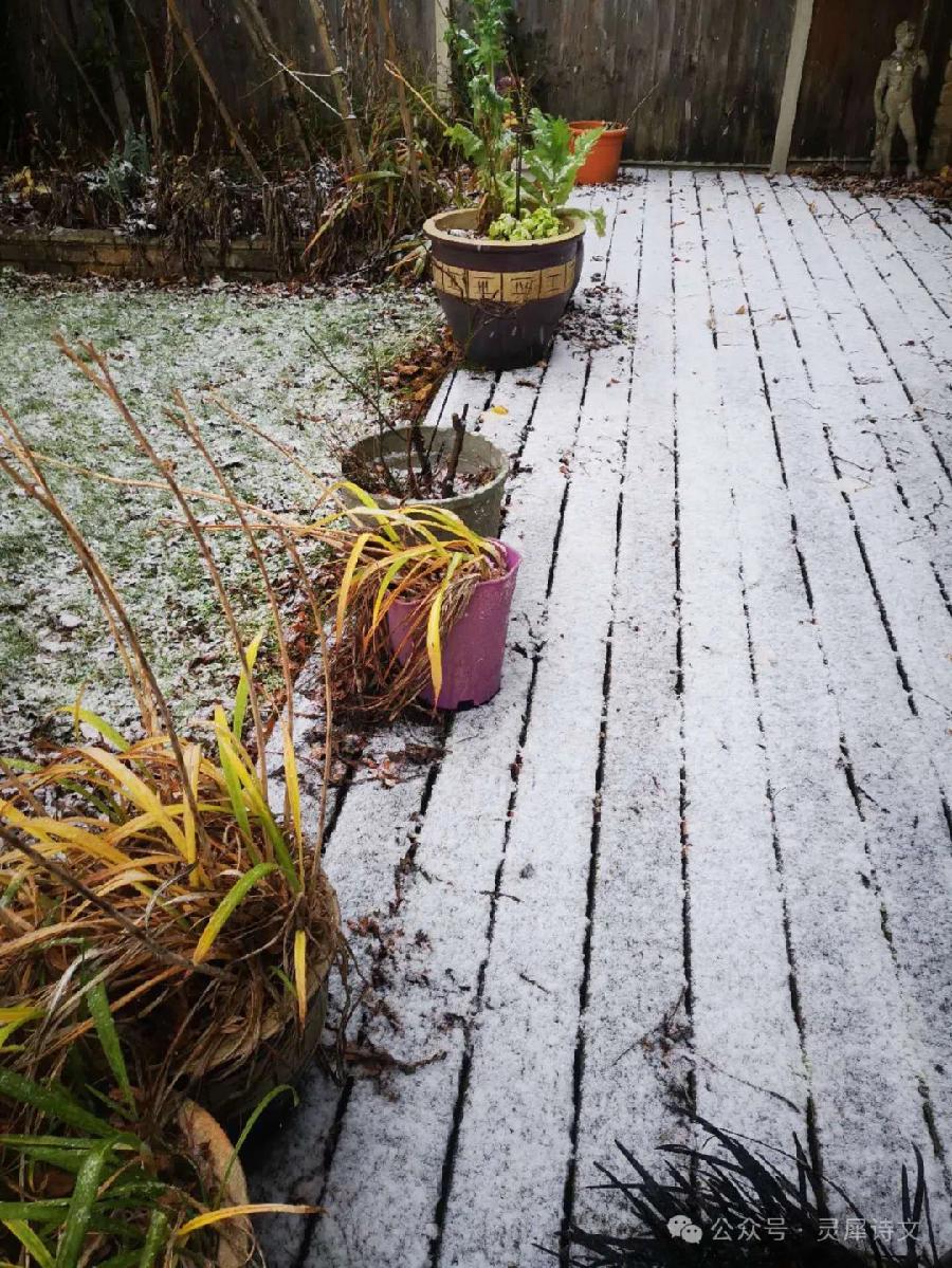 英伦初雪（图9）