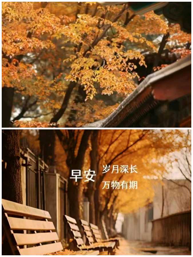 【重磅推出】鲁坡//一任此生种福田（图3）