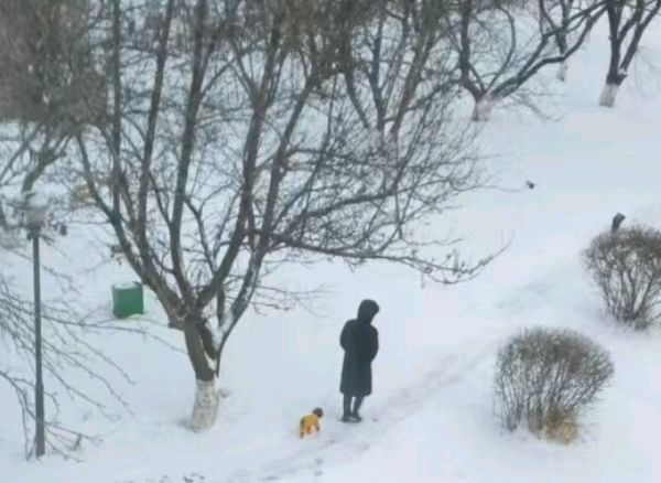 咏雪（新韵） 作者Ⅱ周大策（图3）