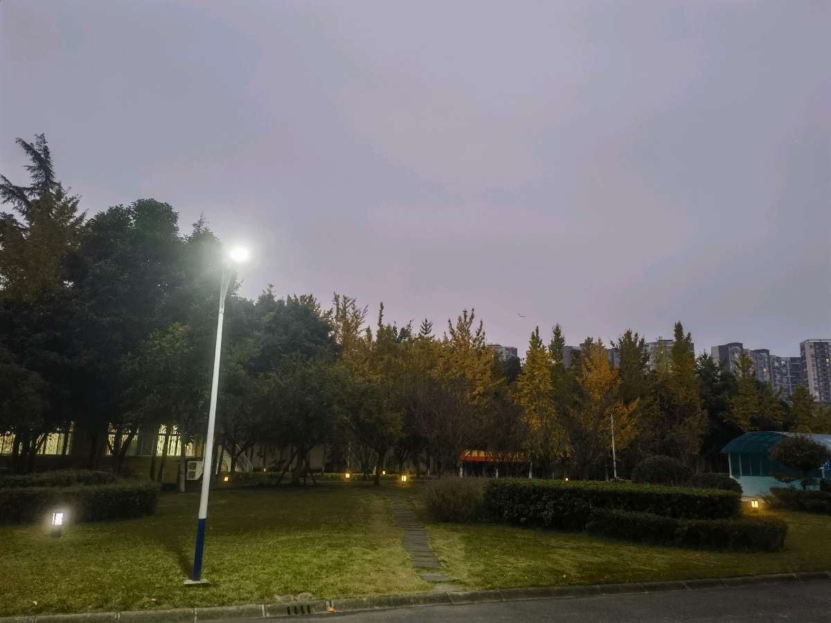 「散文」党校的早晨(图7)