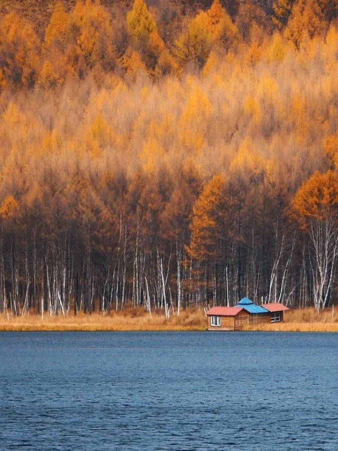 聆听 ‖ 弘华朗诵《初冬的回忆》作者/吴万瑞（图10）