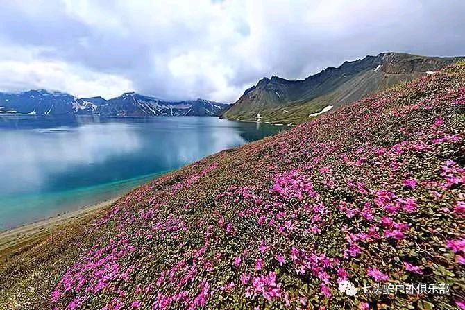 欣赏根生厚福律诗·《长白山》（图3）