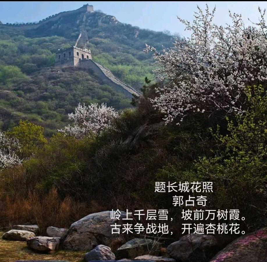 郭占奇老师图片题诗汇编（17首）（图6）
