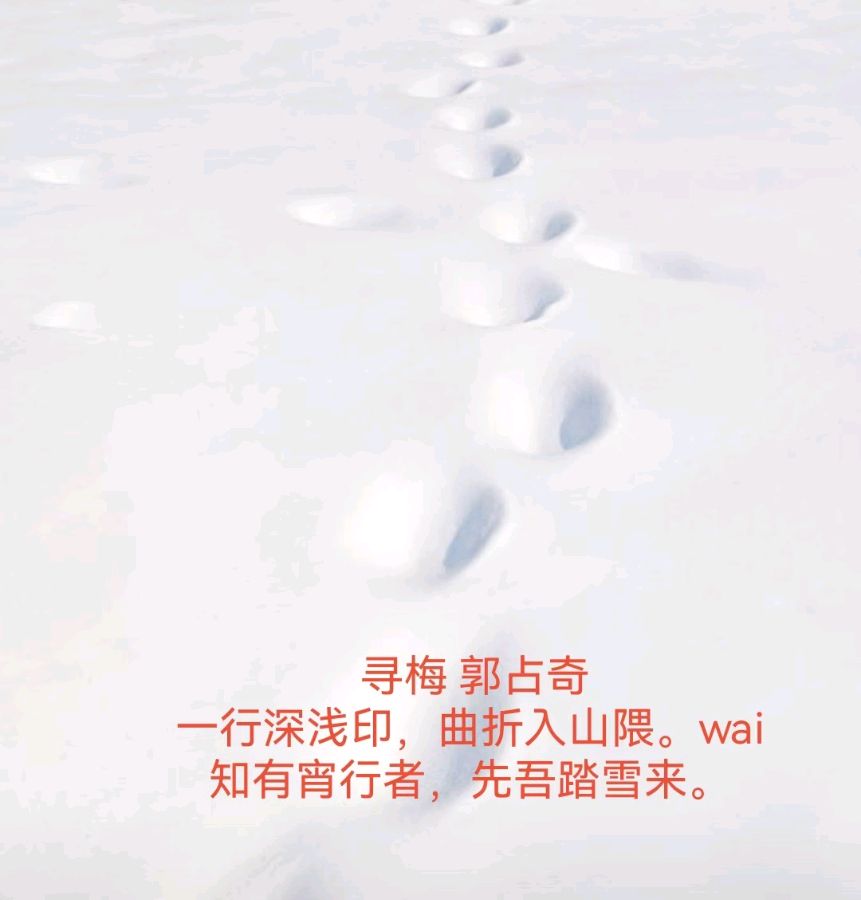 郭占奇老师图片题诗汇编（17首）（图13）