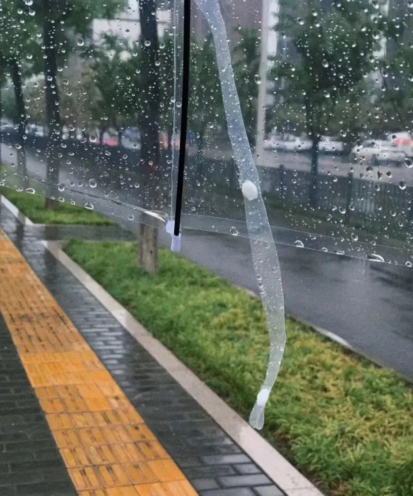 华万里：《小雨》海外头条（图5）