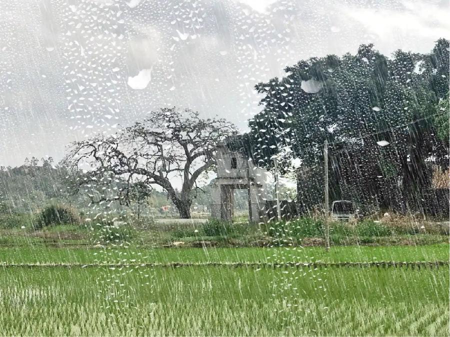 华万里：《小雨》海外头条（图6）