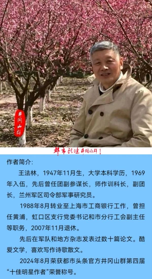 我曾在边防哨所站岗～诗||王法林（图21）