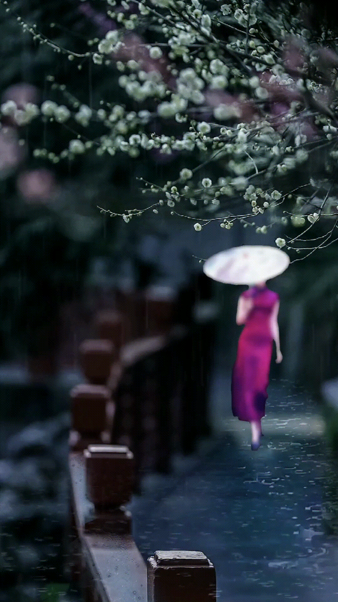【名人名篇】余秋雨散文《遇见》合诵/冬日艳阳 金南 瑞雪丰年 傲雪红梅 张丽 【花雨馨声】第717期（图4）