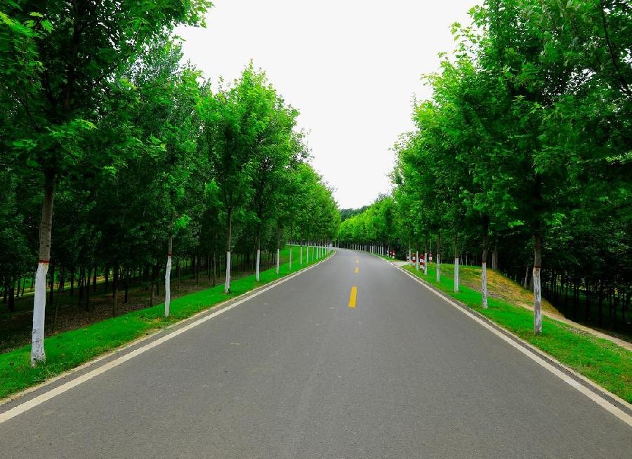 童年：《路》海外头条（图5）