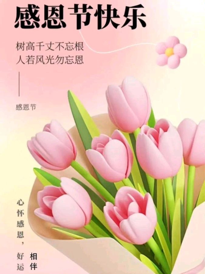 默藜文学 ‖ 《以诗寄情、以情感恩》默藜文学朗诵艺术团感恩节举办线上朗诵会（图30）