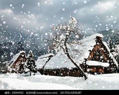 【新山东文学社】《七绝.初来小雪未深寒（十二首）》作者/辉叔 主播/墨兰（图3）