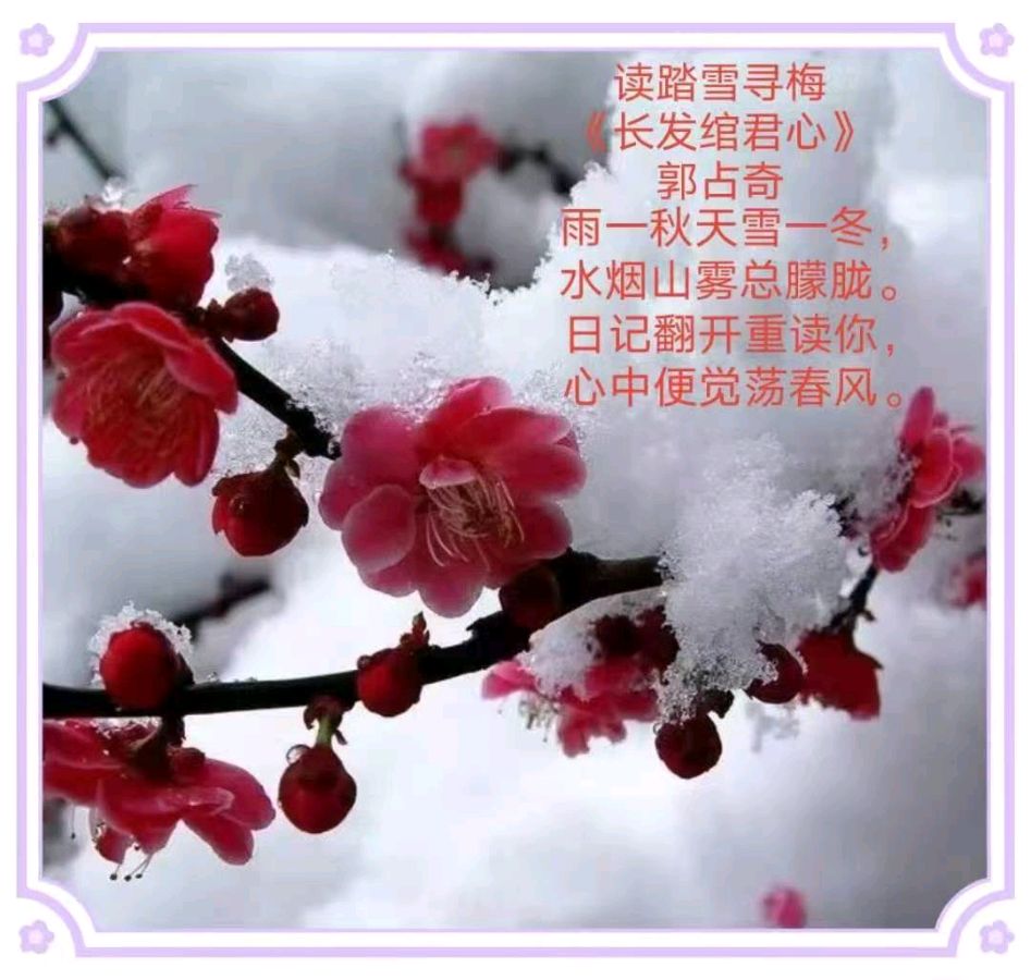 郭占奇老师图片题诗汇编（32首）（图20）
