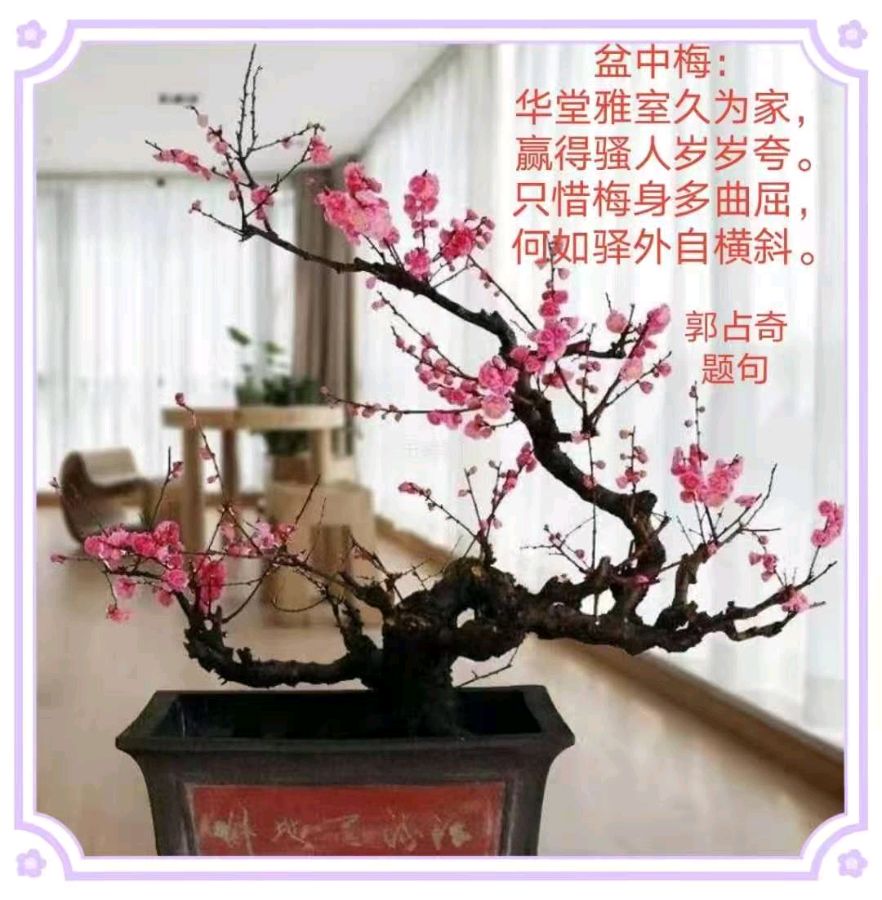 郭占奇老师图片题诗汇编（32首）（图19）