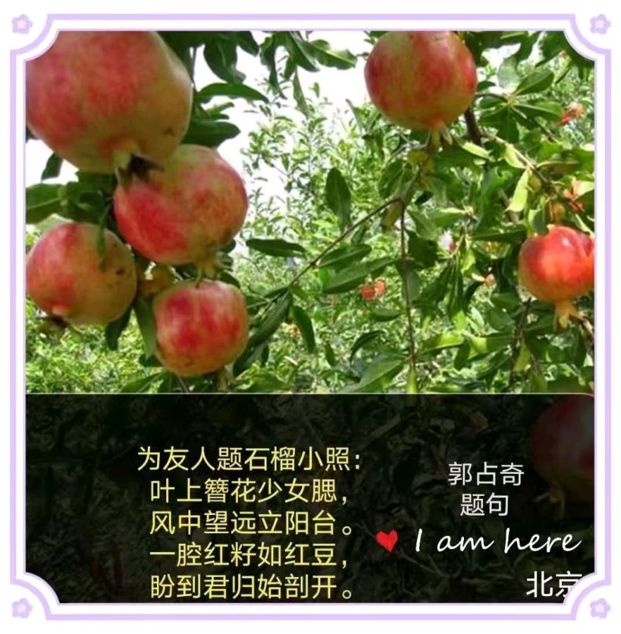 郭占奇老师图片题诗汇编（32首）（图25）