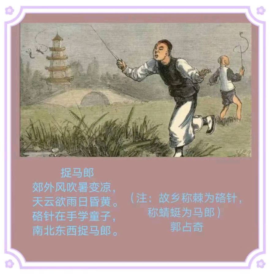 郭占奇老师图片题诗汇编（32首）（图27）