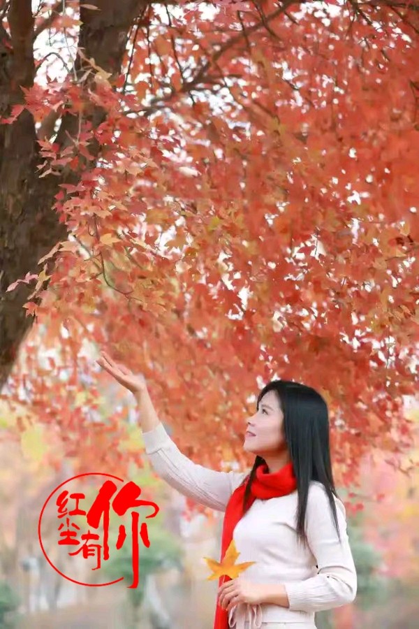 醉酒的枫叶（外一首）诗||朱学钊（图14）