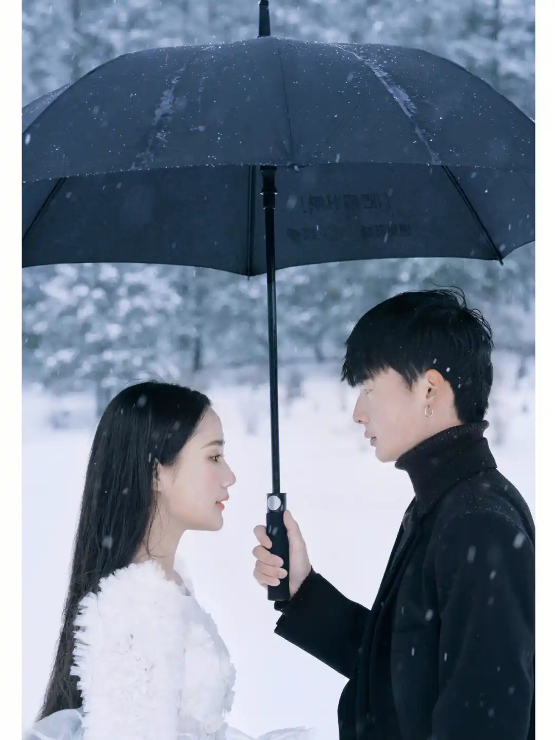 【新山东文学社】《兰雪儿（外一首）》作者/大浪淘沙 主播/鲁怡秀凤（图6）