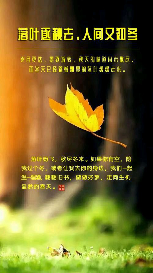 曹绍民的《落 叶》