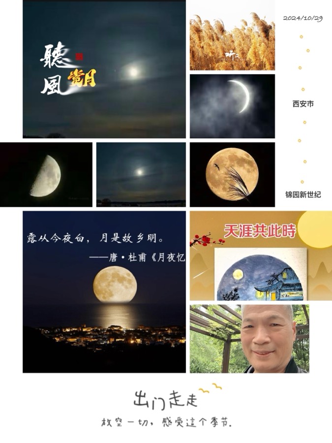 【❄️冬景集】E第39集（图5）