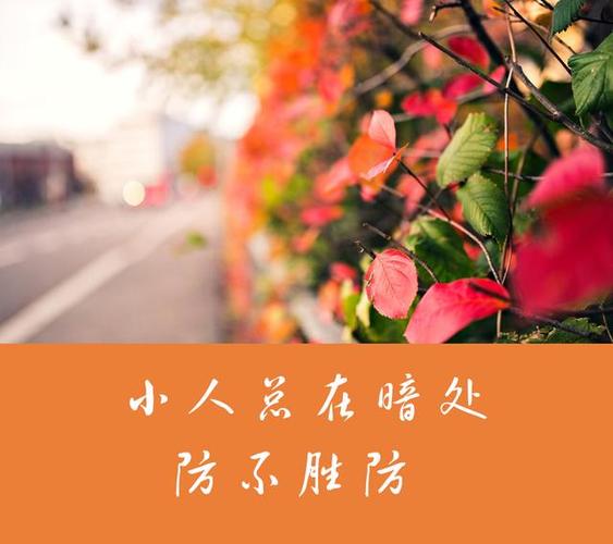 《人间温情的微妙平衡——防人之心不可无 害人之心不可有》作者:强军/陕西宝鸡（图3）