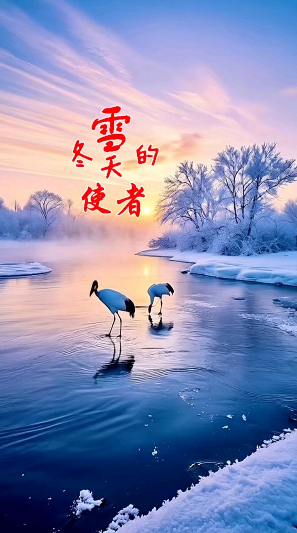 冬雪吟～诗||吴永良（图14）