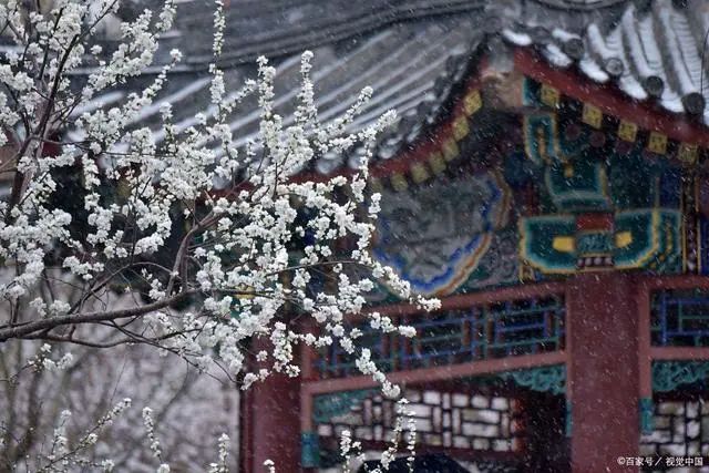聆听 ‖ 牛丽君朗诵《小雪叩窗》作者/石志华（图4）