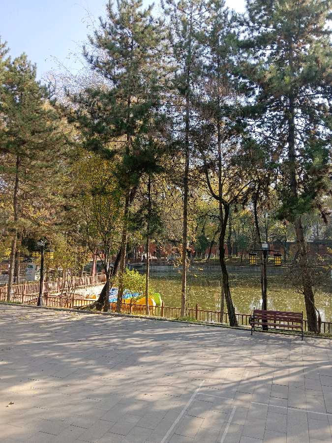杨占礼诗歌（图3）
