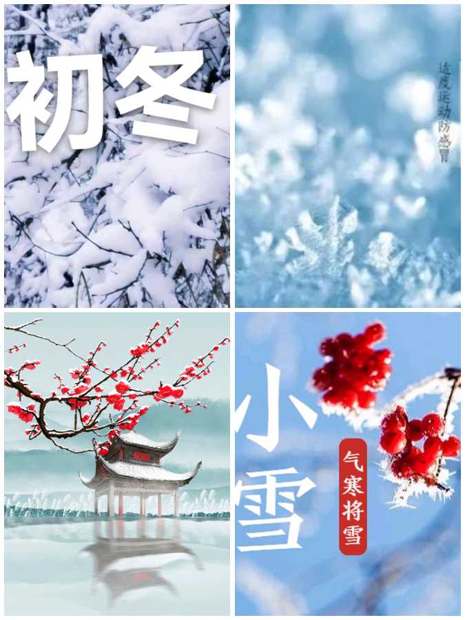【经典推荐】鲁坡//白杨礼赞[冬韵抒怀]（图6）