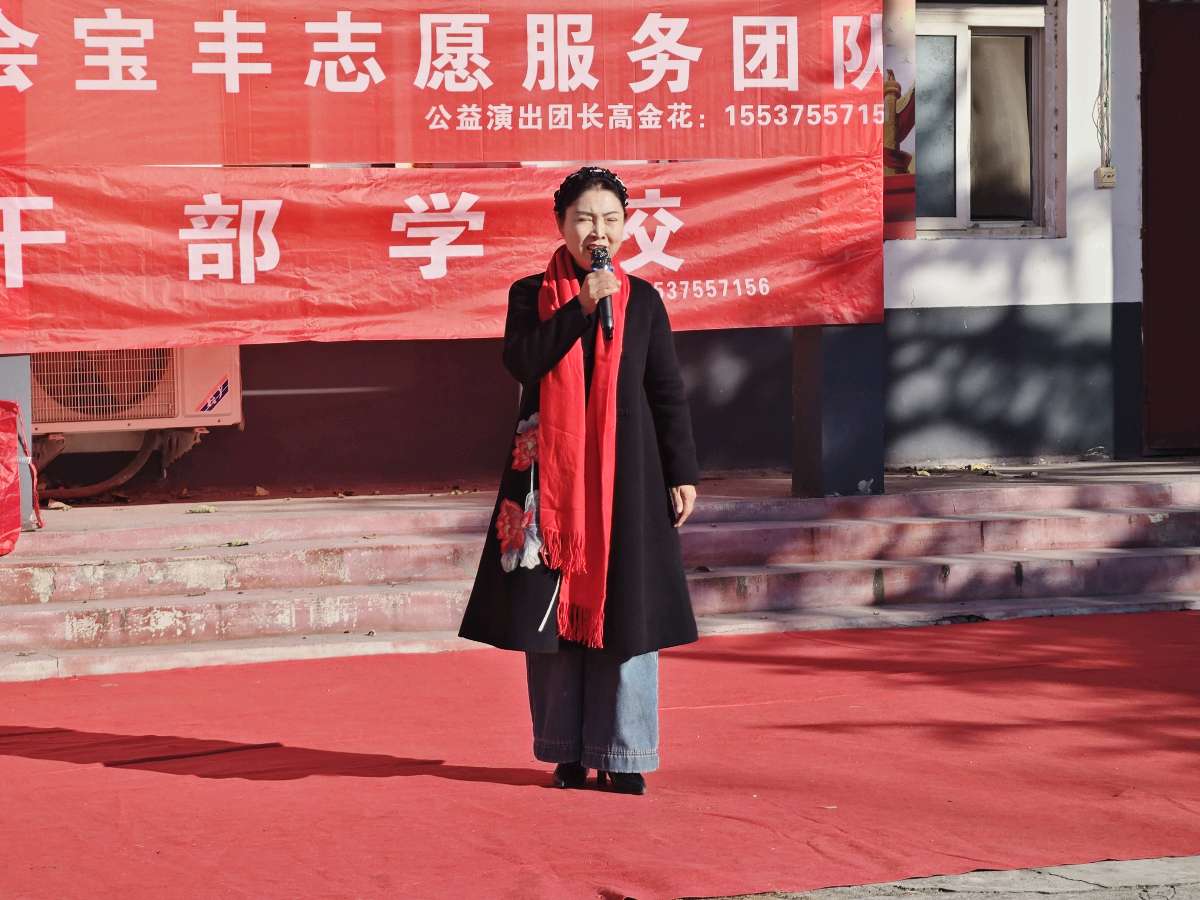 宝丰县张八桥镇：文化“薪火”递乡村 公益演出绽芳华（图2）
