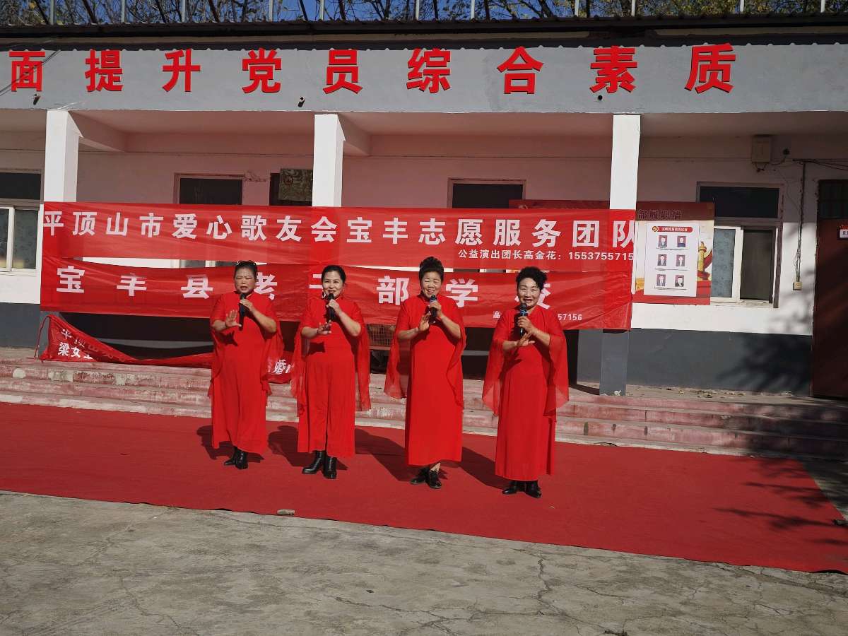宝丰县张八桥镇：文化“薪火”递乡村 公益演出绽芳华（图3）