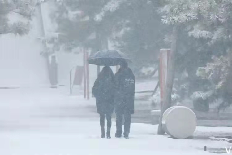 汪志成：《雪恋》朗诵：琪琪~海外头条（图9）