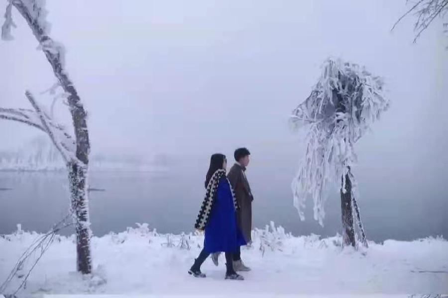 汪志成：《雪恋》朗诵：琪琪~海外头条（图11）