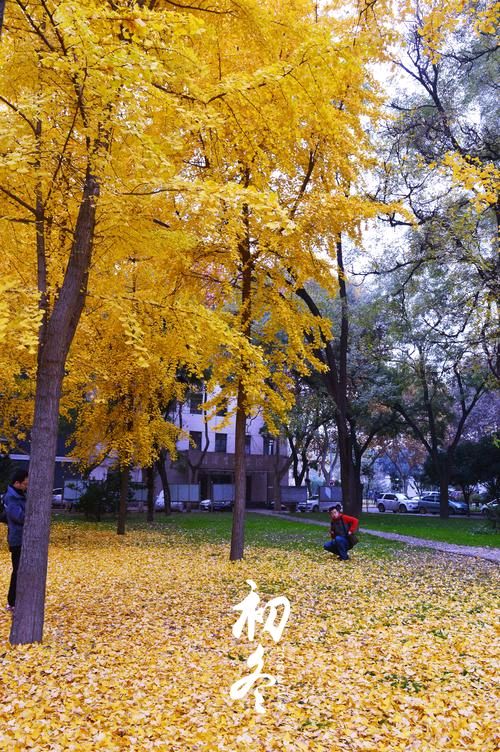 【神州源流诗苑】第1268期优秀现代诗等周刊(图3)