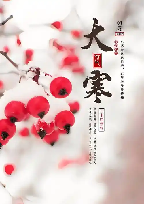 聆听 ‖ 月下独酌朗诵《大寒感怀》作者/石志华（图6）
