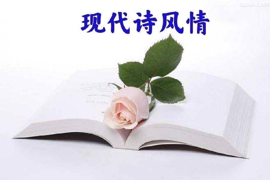 纽约文联网刊:二十九期(总期五十一期)2024年11月|海外头条(图9)