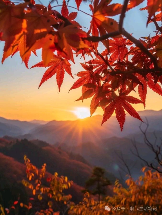 卜算子·24节气物候吟（24阕）（图2）