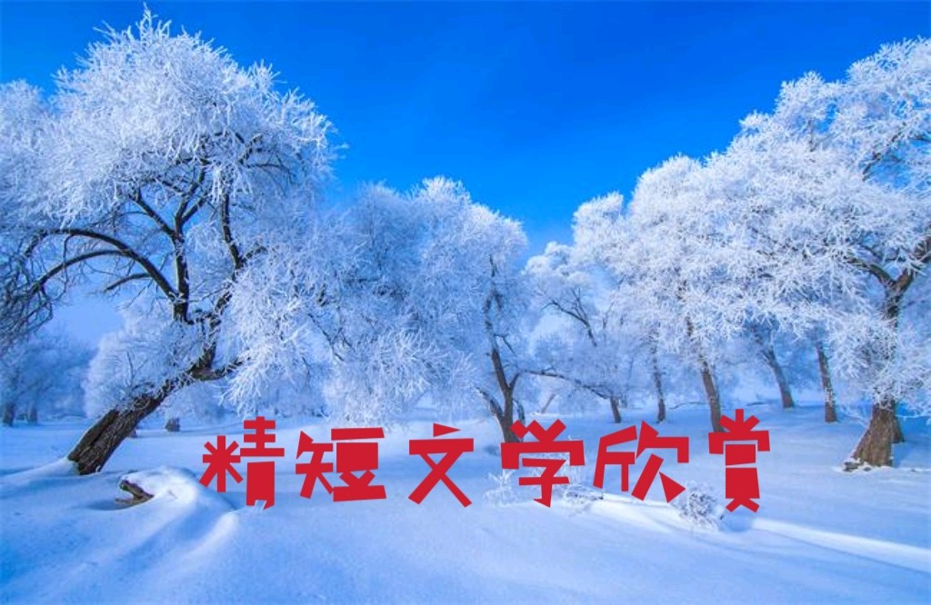 【重磅推出】鲁坡//寒冬暖语话人生[冬韵放歌]（图9）