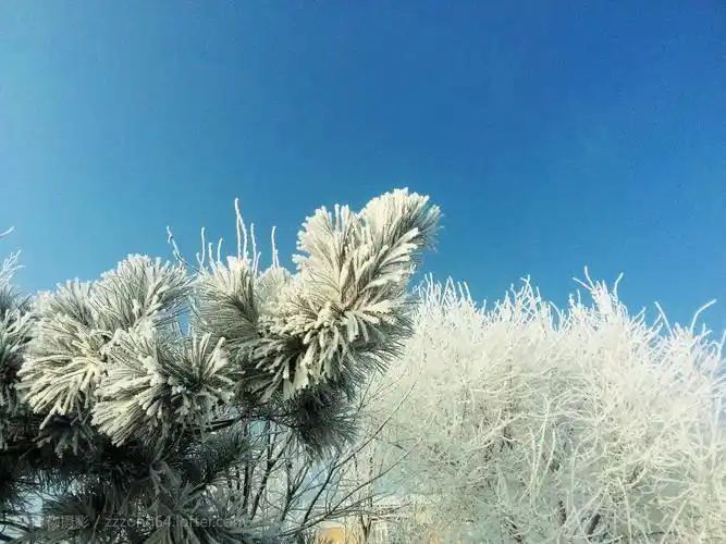 对句活动（七）‖巴彦诗词楹联协会【790】（图5）