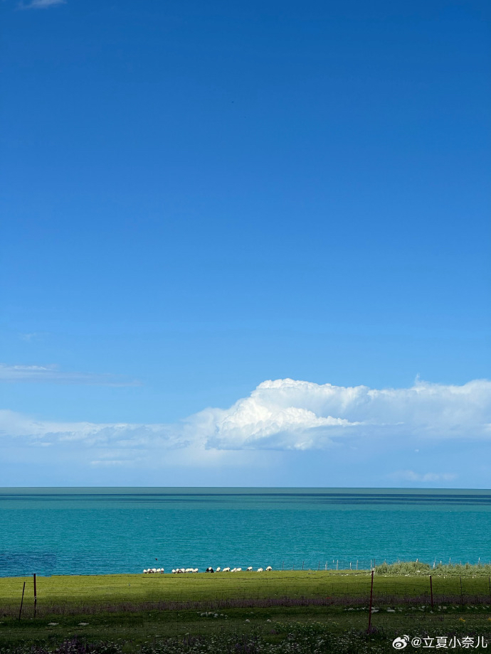 谯达摩：《我和韩东和青海湖》海外头条（图5）