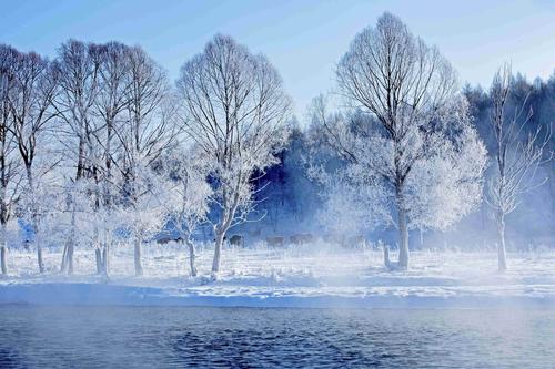 李孝先诗歌专辑007期/红色文化主编/润牙子（图4）