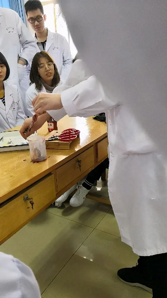 江苏弟子学医的故事(文/孙述考)/神经导能疗法展现神奇疗效——江苏夫妇的康复之旅与传承之路 (文/王保江)……莲叶之珠文学社(图6)