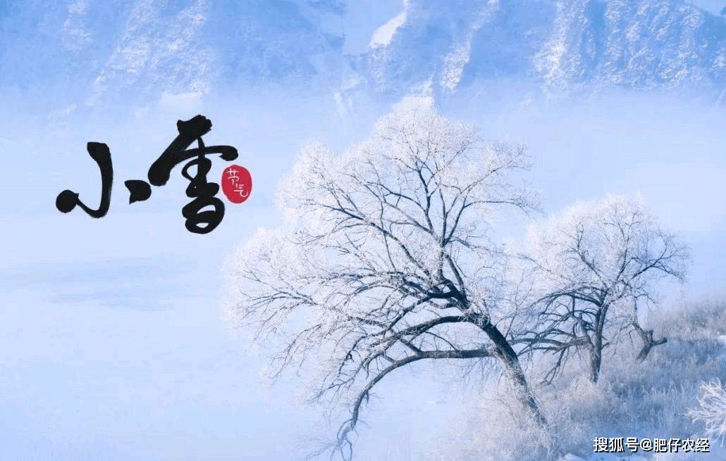 【神州源流诗苑】第1269期佳词周刊(图4)