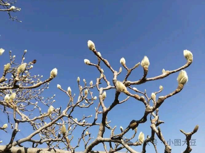 石家庄市藁城区诗词协会同题诗第六十四期《冬月》（图7）
