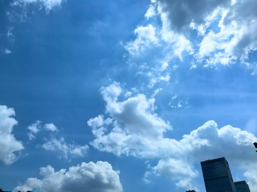 净土红莲（澳大利亚）：《散文诗合辑》海外头条（图7）